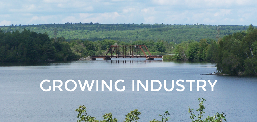 St Croix Tissue: Growing Industry