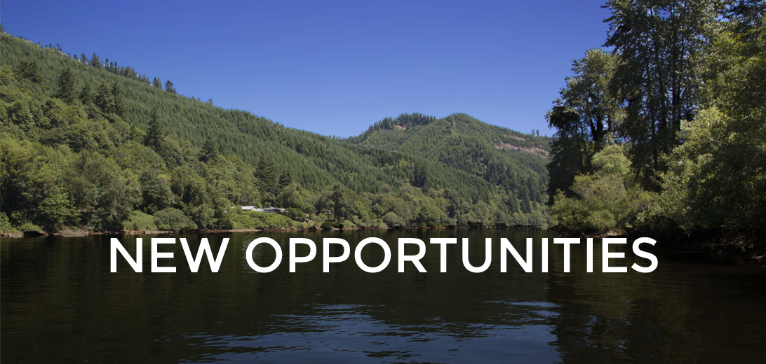 St. Croix Tissue: New Opportunities