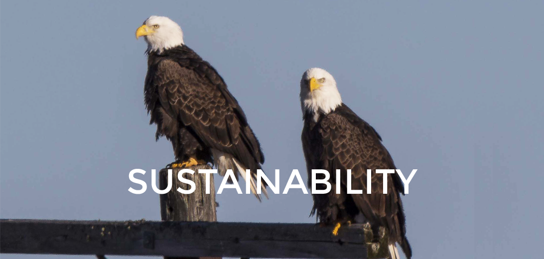 St Croix Tissue: Sustainability